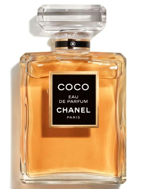 perfume de chanel cancion|Chanel perfume buy online.